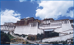 チベットのポプラ宮の写真
