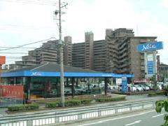 ネッツトヨタ南海株式会社　堺北店の写真