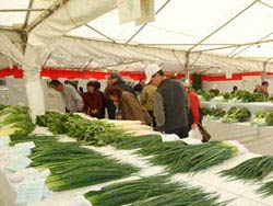 Sakai City Agricultural Festival