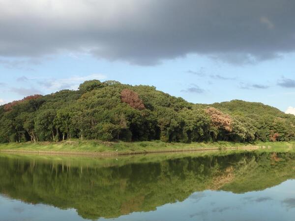 Burial Mound Mystery