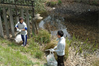 Cleaning activities