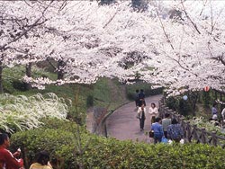 니시하라공원