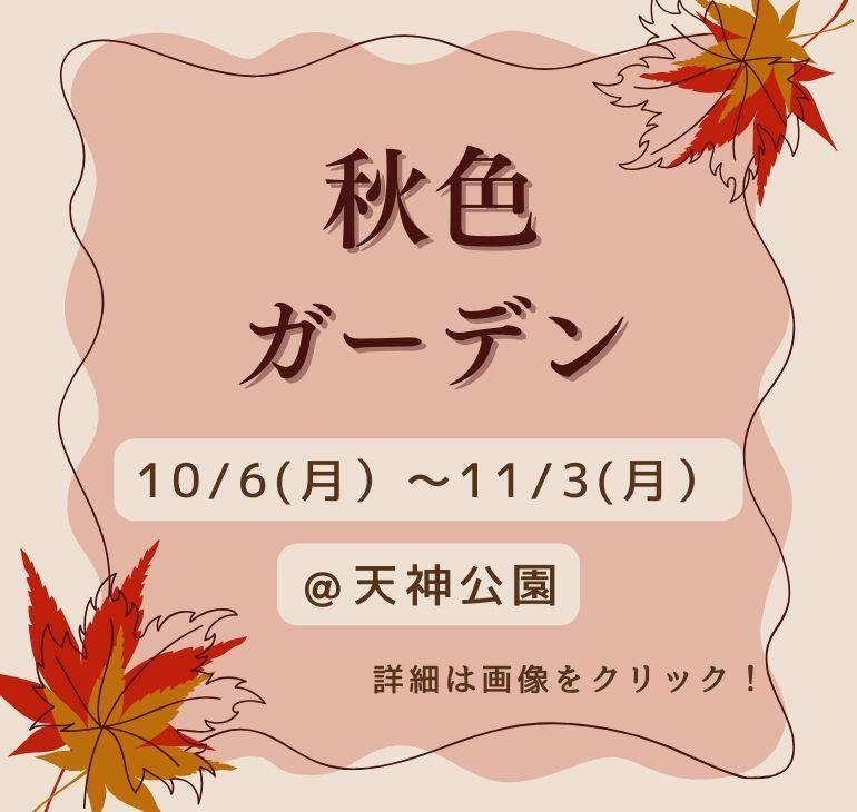 秋色ガーデン開催中！