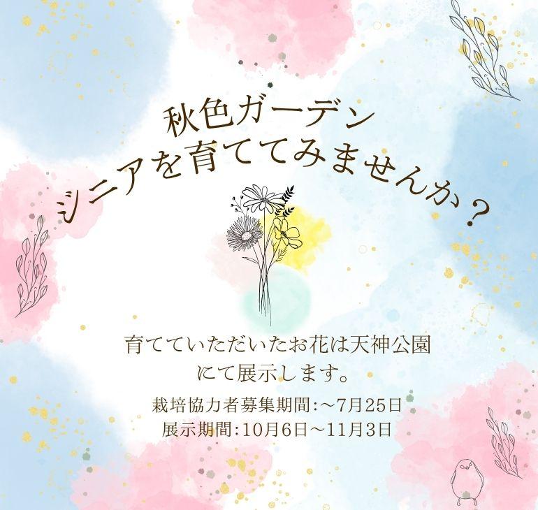 秋色ガーデン　ジニアを育ててみませんか？