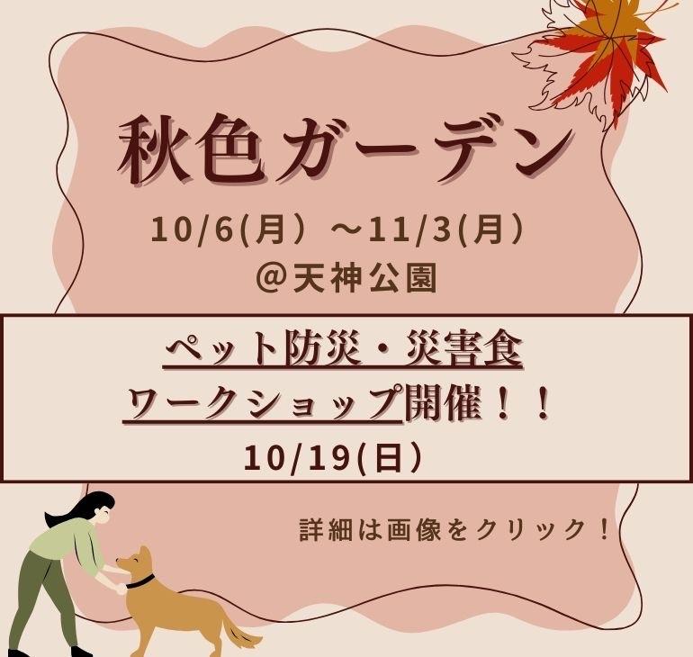 秋色ガーデン開催中！
