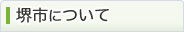 堺市について