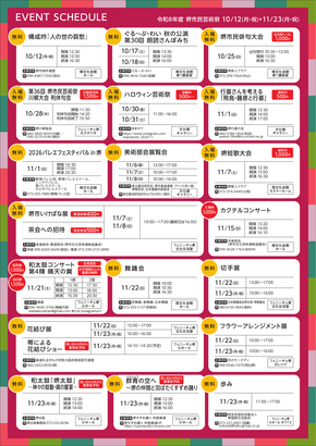 チラシ裏面