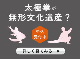第46回無形文化遺産理解セミナー・ワークショップ