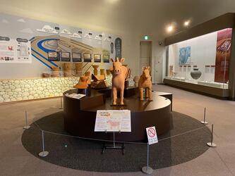 堺市博物館馬型埴輪展示写真