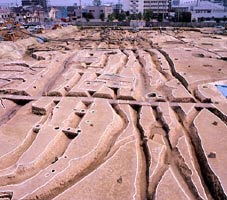 溝と調査風景の写真