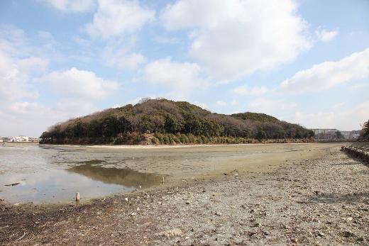 ニサンザイ古墳内濠（南西から）の画像