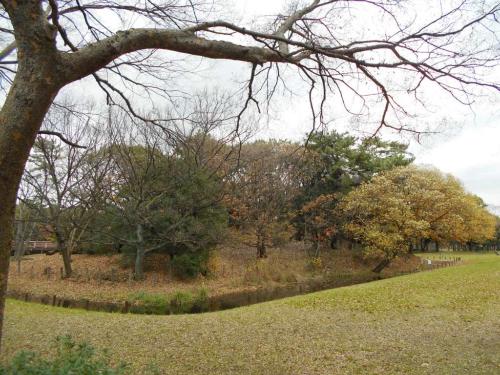 竜佐山古墳周濠（南西から）の画像