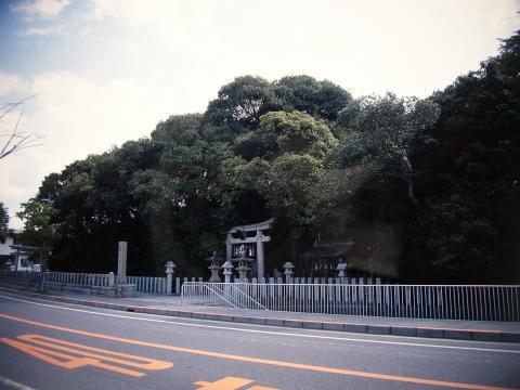 美多弥神社しりぶかがし社叢の画像