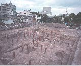 調査地と開口神社の写真