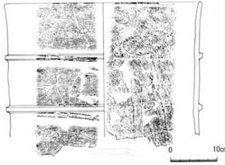 反正天皇陵古墳（田出井山古墳）出土円筒埴輪実測図