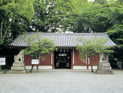 桜井神社の写真