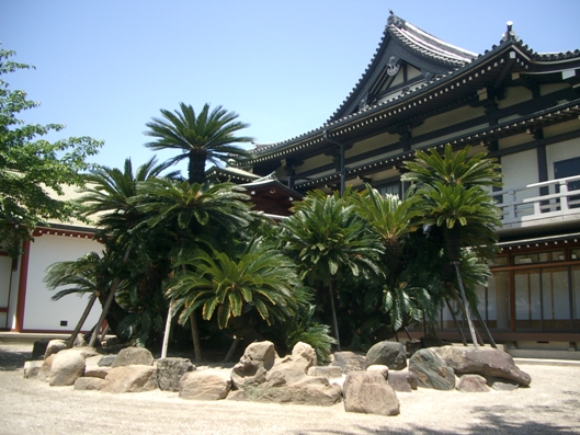 妙国寺の写真1