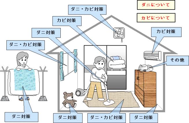 自宅のあちこちに、ダニ・カビ対策で注目する場所があります。