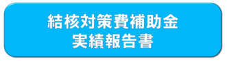 電子申請システムはこちら（結核対策費補助金実績報告）