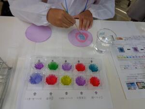 紫キャベツの液