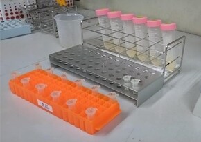 DNAを抽出する作業の写真