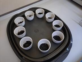 プラスチック製のストローを分解する写真