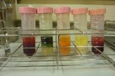 残留農薬検査の抽出液の写真
