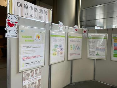 令和6年度のパネル展示の写真。ボードにパネルが掛かっている