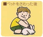 ペットをさわった後（子どもとウサギ）