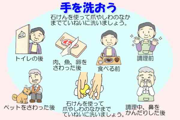 手を洗おう　石けんを使って爪やしわのなかまでていねいに洗いましょう。　トイレの後　肉、魚、卵をさわった後　食べる前　調理前　ペットをさわった後　調理中、鼻をかんだりした後