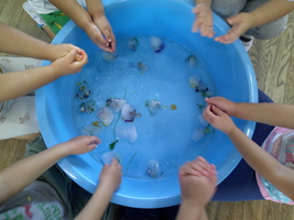 夏の花を使って氷あそび