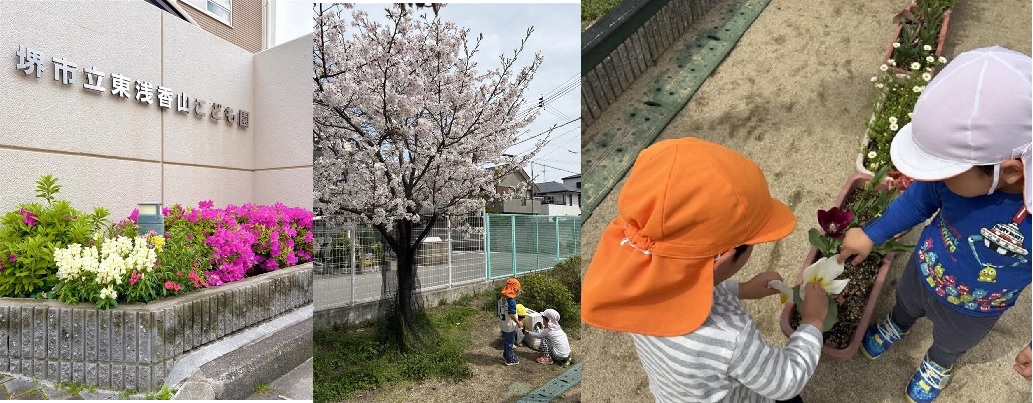 春が来た！