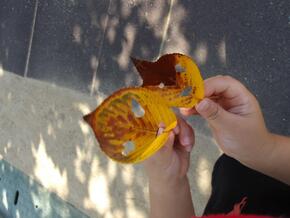 2枚の落ち葉を手にしています。手にした葉っぱには、数か所の穴が空いています。