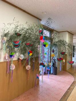 子どもたちが作った七夕飾りを大きな笹につけ、玄関に飾りました。