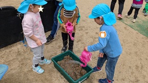 土と水を入れている写真