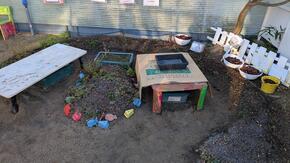 冬支度をしたビオトープ