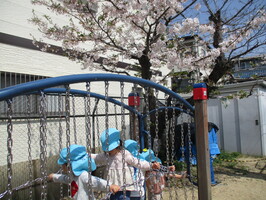 園庭でつり橋あそび