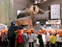 博物館のナウマンゾウを見る4歳児