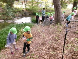 植物園で散策する5歳児