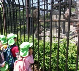 サルを見て喜ぶ5歳児
