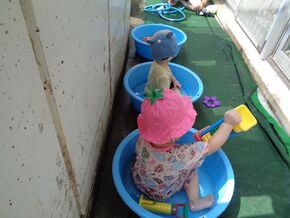 マイたらいで水遊び。