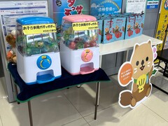 トヨタカローラ南海株式会社　金岡店の写真