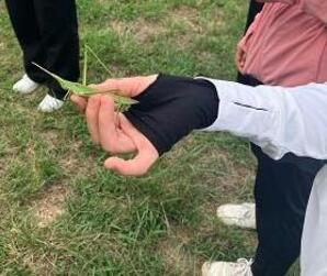 虫探しをしました。