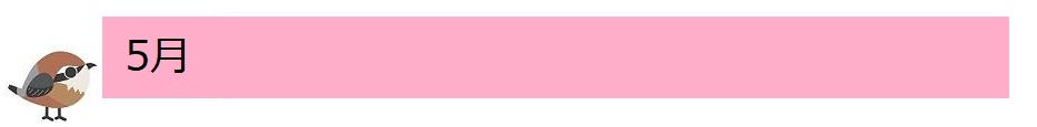 5月