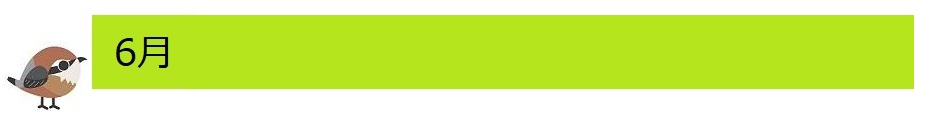 6月