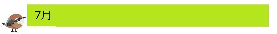 7月
