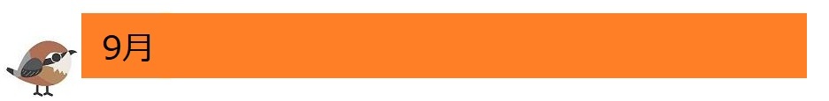 9月