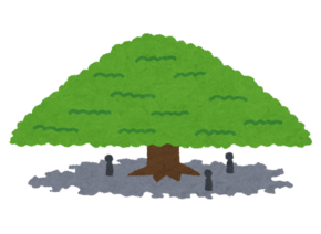 平和の木