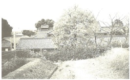 兒山家住宅写真