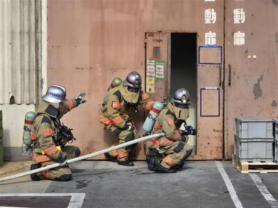検索活動